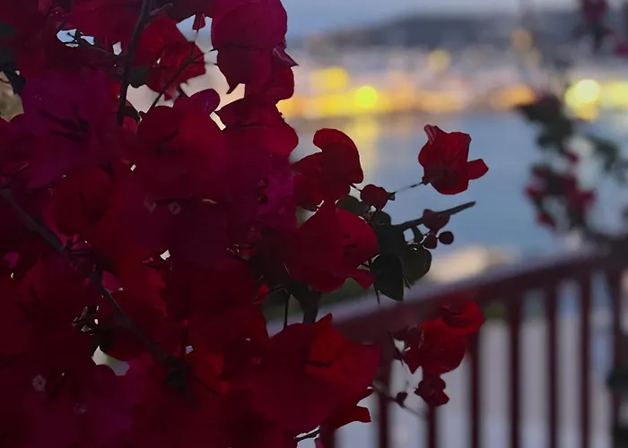 公寓 阿罗度公寓