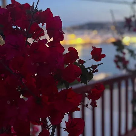 Lägenhet Arodou And