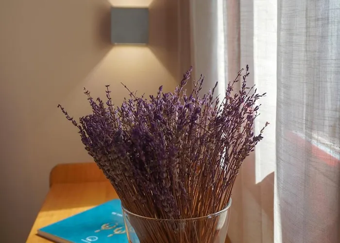 Appartement Arodou And *